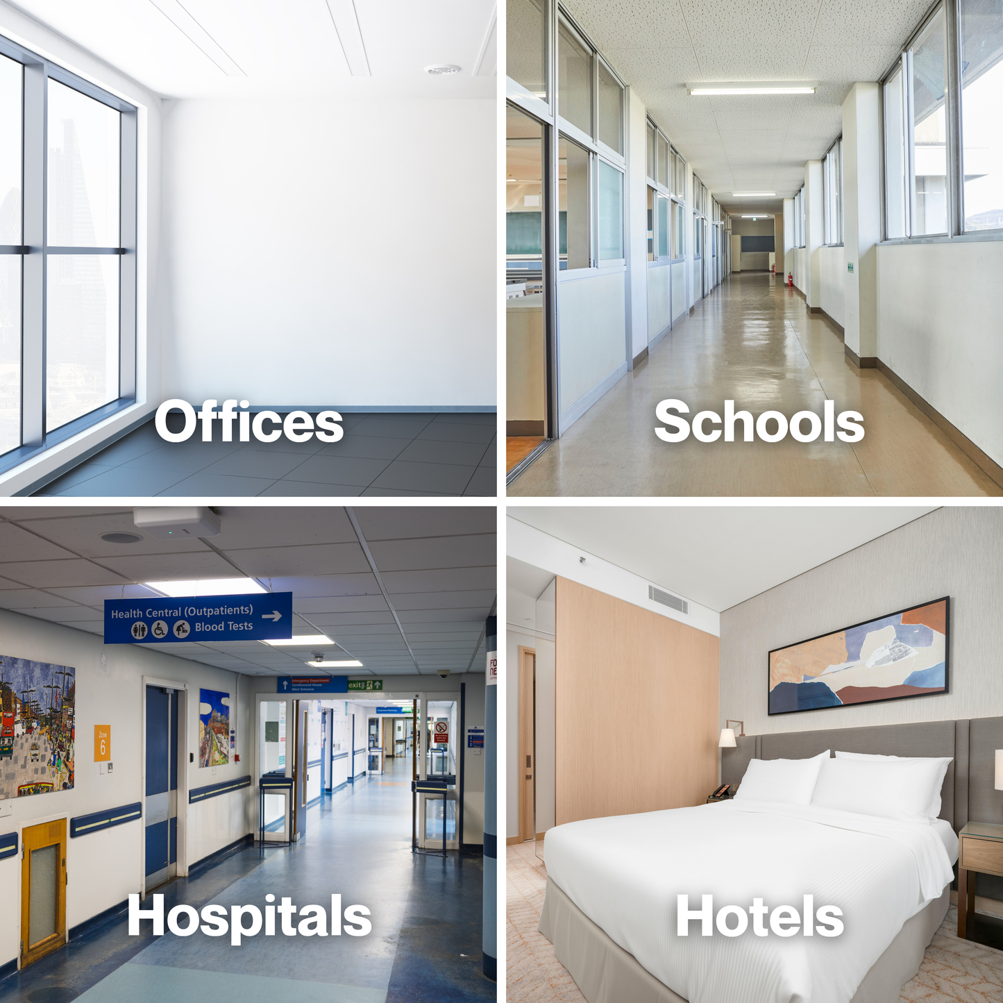 G21 Anti-Mould Paint System